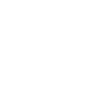 BlueX reverse mark